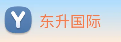 东升国际 logo